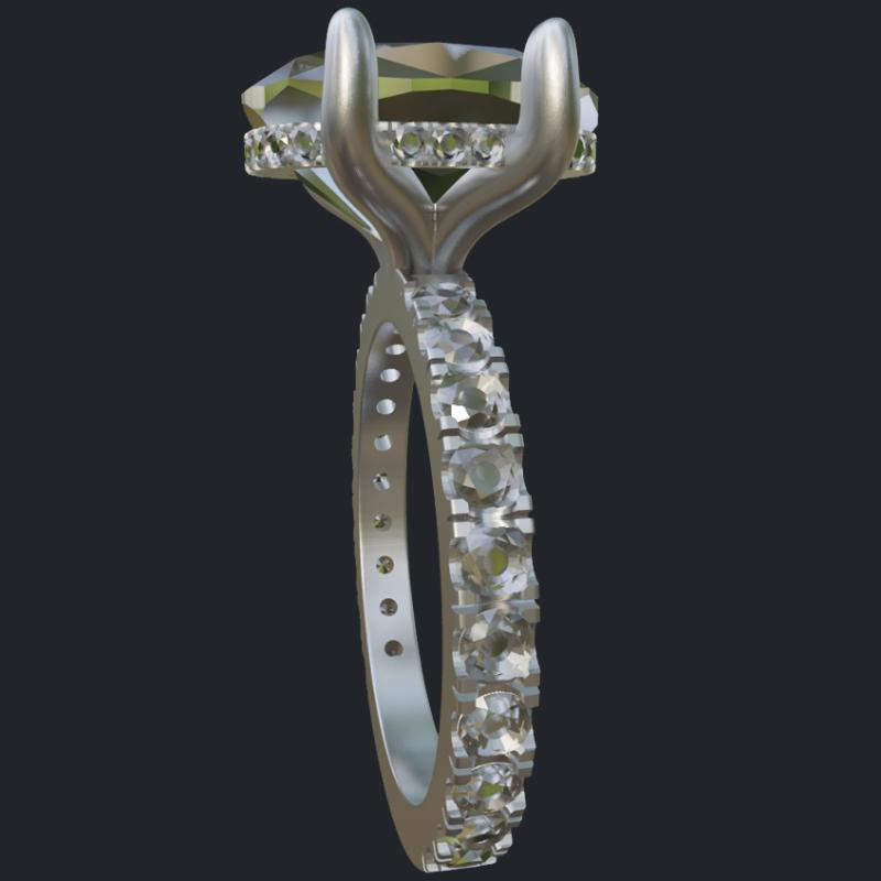 Elongated Cushion Hidden Halo Ring - Side