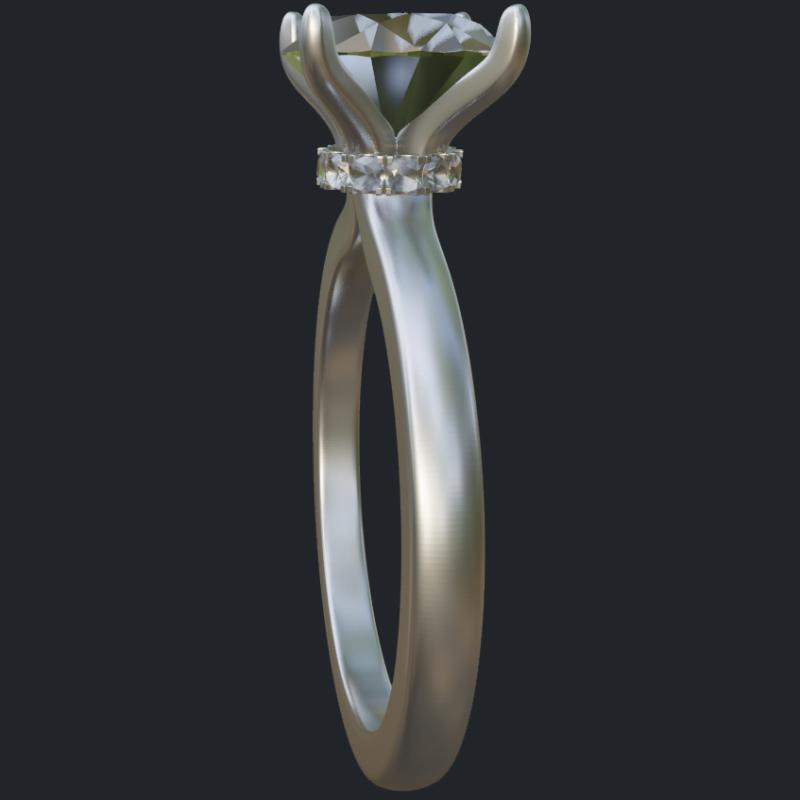 Secret Halo Platinum Ring - Side