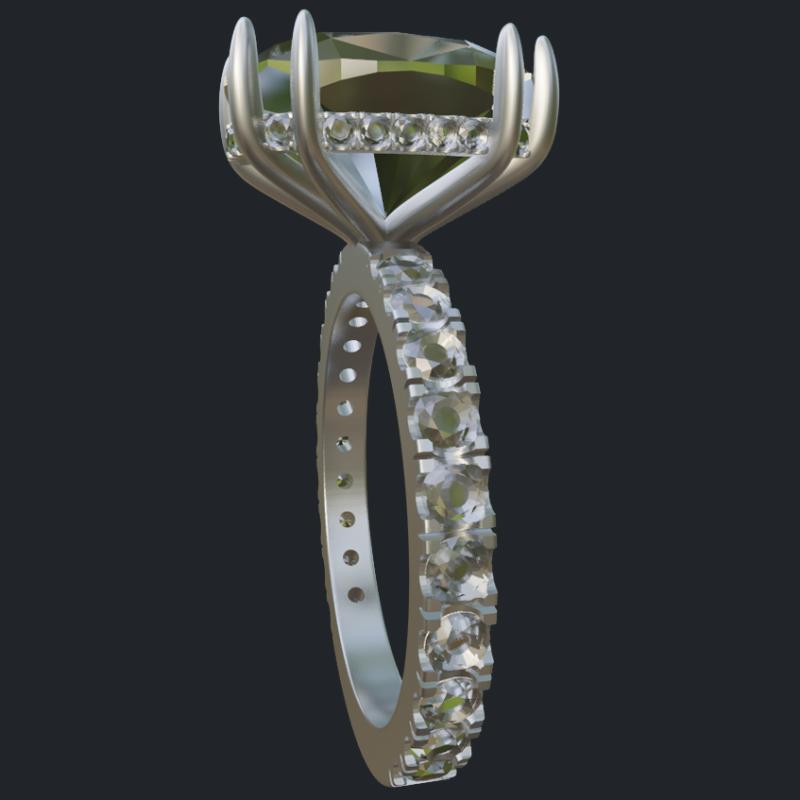 Elongated Cushion Hidden Halo Double Prongs Ring - Side