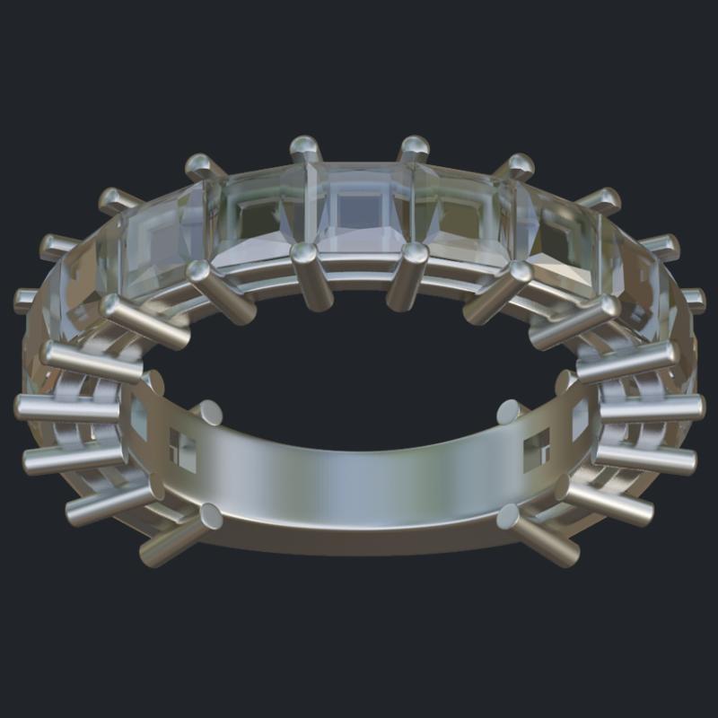 Platinum Princess Eternity Band - Top